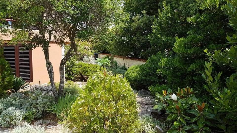 Apartments Villa Temer Pinezići 外观 照片