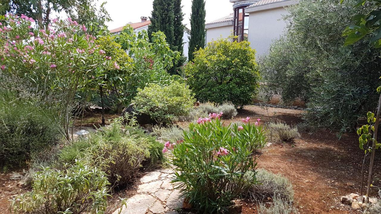 Apartments Villa Temer Pinezići 外观 照片